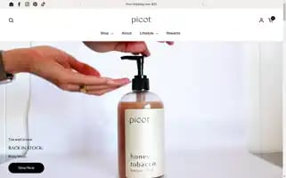 Picotcollective.com Screenshot 2024-05-05 13:10:35