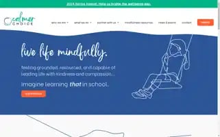 Calmerchoice.org Screenshot 2024-07-01 22:41:16