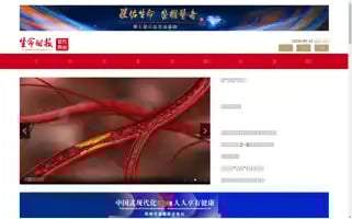 Lifetimes.cn Screenshot 2024-06-14 06:40:37