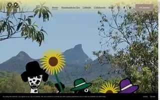 Sunnyfacesdesigns.com Screenshot 2024-05-20 21:28:40