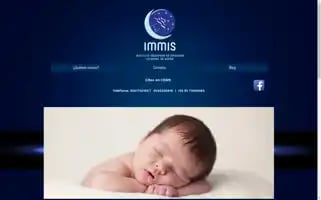 Institutomexicanodesueno.com Screenshot 2024-06-18 18:57:40