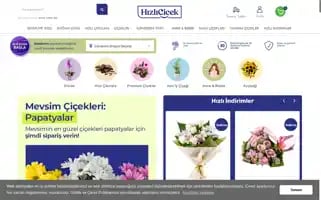 Hizlicicek.com Screenshot 2024-06-28 17:22:20