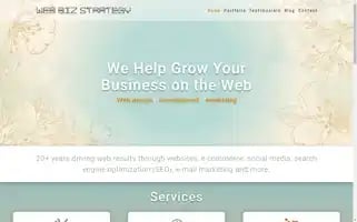 Webbizstrategy.com Screenshot 2024-06-13 23:29:03