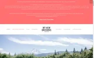 Mtvieworchardsweddings.com Screenshot 2024-07-06 14:25:30