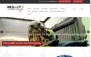 Wildnorth.ca Screenshot 2024-07-02 19:17:17