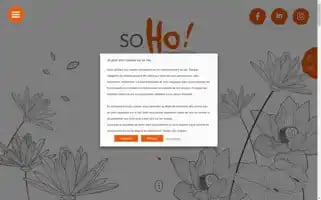So-ho.fr Screenshot 2024-06-14 20:13:59