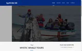 Mysticwhaletours.com Screenshot 2024-04-26 11:59:03