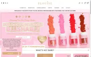 Plouise.co.uk Screenshot 2024-05-05 01:13:40