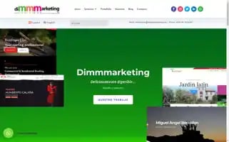 Dimmmarketing.com Screenshot 2024-06-16 15:41:29