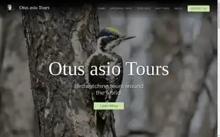 Otusasiotours.com Screenshot 2024-04-18 11:34:34