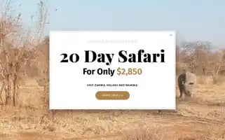 Budgetsafaritours.com Screenshot 2024-04-17 07:29:10