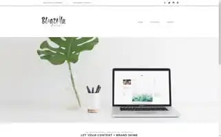 Blogzillastudio.com Screenshot 2024-06-29 02:45:51