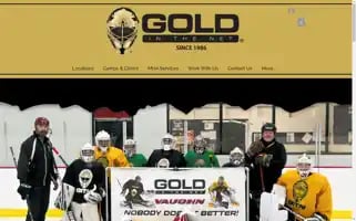 Goldinthenet.com Screenshot 2024-07-08 03:18:22