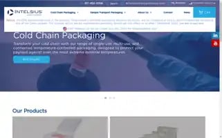 Intelsiussolutions.com Screenshot 2024-06-29 18:06:29