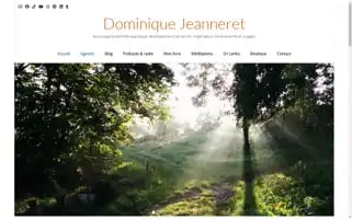 Dominiquejeanneret.net Screenshot 2024-06-14 11:50:36