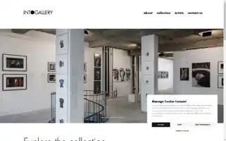 Into.gallery Screenshot 2024-06-14 15:04:56