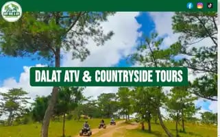 Dalatatvtours.com Screenshot 2024-04-19 12:03:19