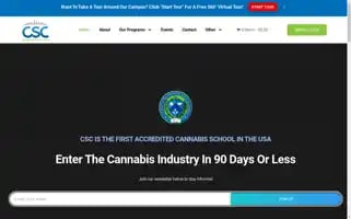 Csceducation.com Screenshot 2024-06-12 06:41:39