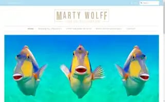 Martywolff.com Screenshot 2024-05-05 17:23:19