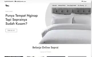 Ladysultan.com Screenshot 2024-05-22 06:27:31