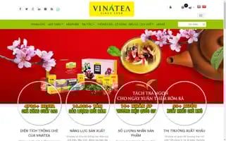 Vinatea.com.vn Screenshot 2024-06-14 19:01:43