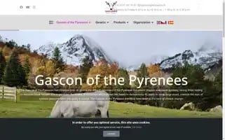 Gasconne.com Screenshot 2024-07-07 12:48:40
