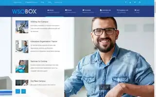 Wsobox.com Screenshot 2024-06-28 09:11:40