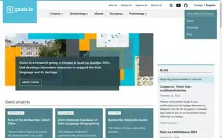 Gaois.ie Screenshot 2024-05-09 20:22:31