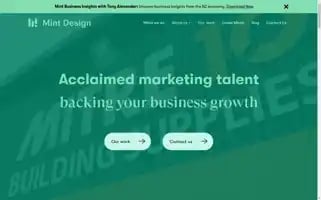 Mintdesign.co.nz Screenshot 2024-06-15 01:44:47