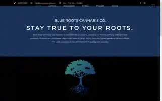 Bluerootscannabis.com Screenshot 2024-07-04 01:54:47