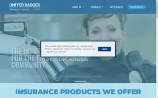 Unitedbadges.com Screenshot 2024-06-13 06:34:00