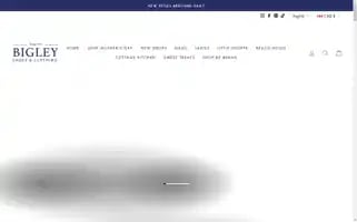 Bigleyshoes.com Screenshot 2024-05-04 09:25:57