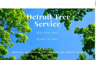 Detroittreeserv.com Screenshot 2024-06-13 13:57:30