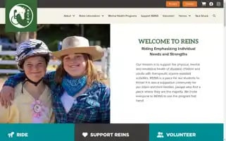 Reinsprogram.org Screenshot 2024-07-06 08:06:23