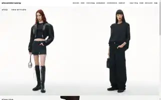 Alexanderwang.com Screenshot 2024-05-08 11:32:02