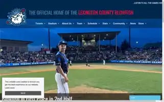 Blowfishbaseball.com Screenshot 2024-07-06 15:44:42