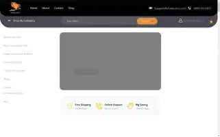 Chasecarts.com Screenshot 2024-05-25 16:16:34