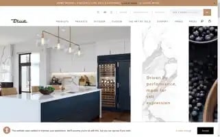 True-residential.com Screenshot 2024-06-13 04:38:45