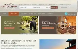 Amazingviewscabinrentals.com Screenshot 2024-05-08 12:18:46