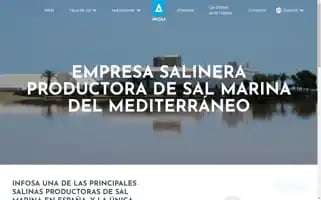 Infosa.com Screenshot 2024-06-17 17:01:56