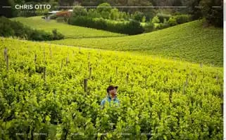 Chrisotto.com.au Screenshot 2024-06-28 06:34:14