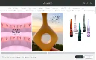 Elevatejane.com Screenshot 2024-05-04 15:29:44