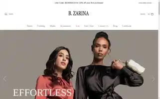 Bzarina.com Screenshot 2024-05-05 03:56:24