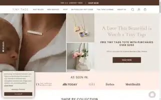 Tinytags.com Screenshot 2024-05-04 04:39:14