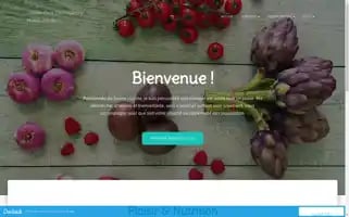 Cc-nutritionniste.com Screenshot 2024-06-16 15:33:20