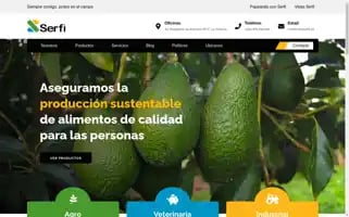 Serfi.pe Screenshot 2024-05-28 02:00:11