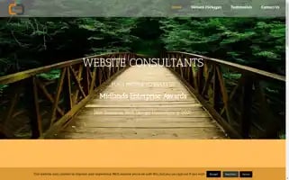 Website-consultants.org.uk Screenshot 2024-06-16 22:17:36
