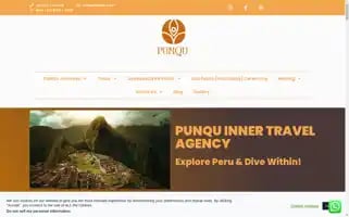 Punqu.com Screenshot 2024-05-19 01:19:29