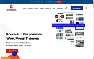 Seothemesexpert.com Screenshot 2024-06-27 11:39:09