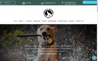 Wrvet.com Screenshot 2024-05-15 06:06:47